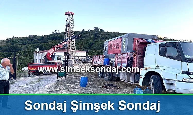 Sondaj